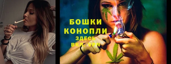 крисы Надым