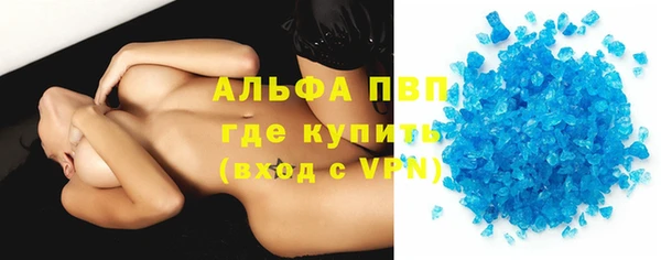крисы Надым