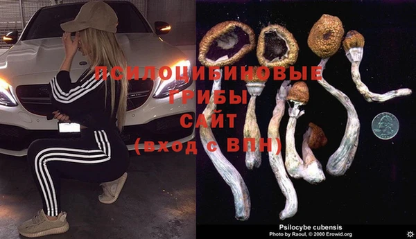 крисы Надым