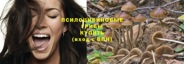 не бодяженный Навашино