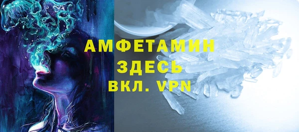 крисы Надым