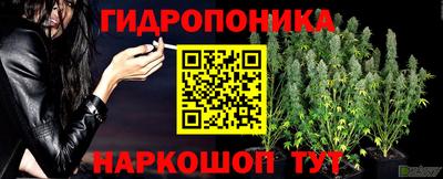 ECSTASY Ирбит