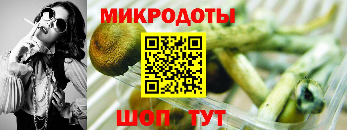 Шумерля  Галлюциногенные грибы Cubensis  Вход с VPN 